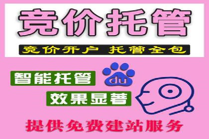 谷歌SEM案例分享：提升品牌形象与口碑